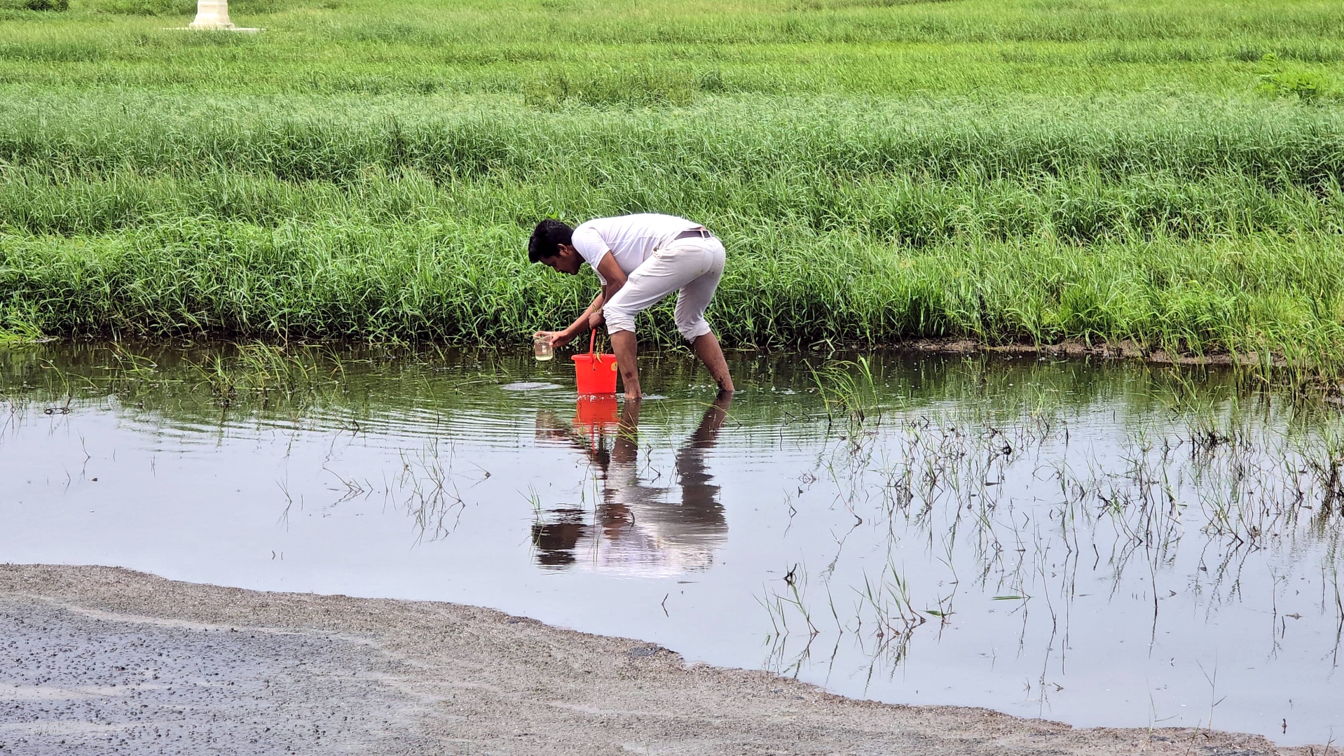 Baga STP under scanner after pollution complaints