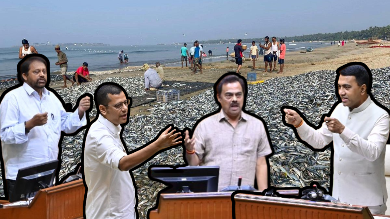 ﻿Goa govt to roll out subsidised fish policy in 6 months, assures CM amid rising local prices