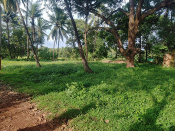 ﻿So, who's selling Goa's land?