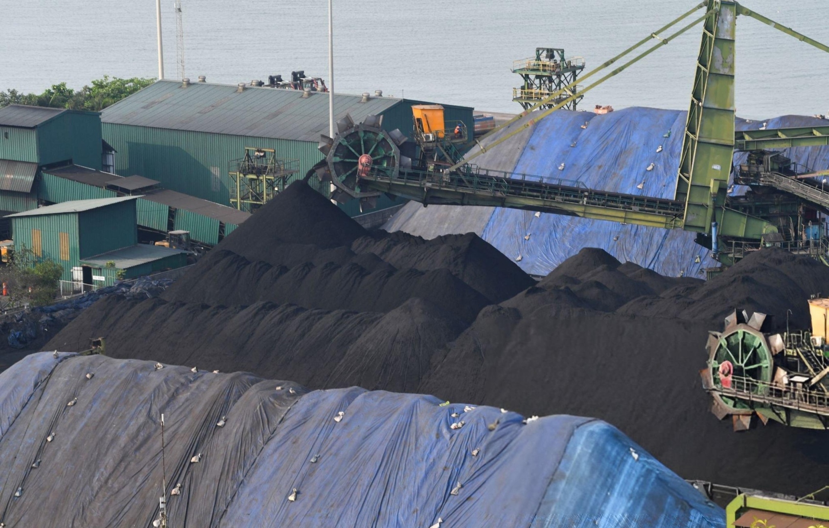 SPOTLIGHT | ﻿No increase in coal handling at port, safeguards in place, assures GSPCB