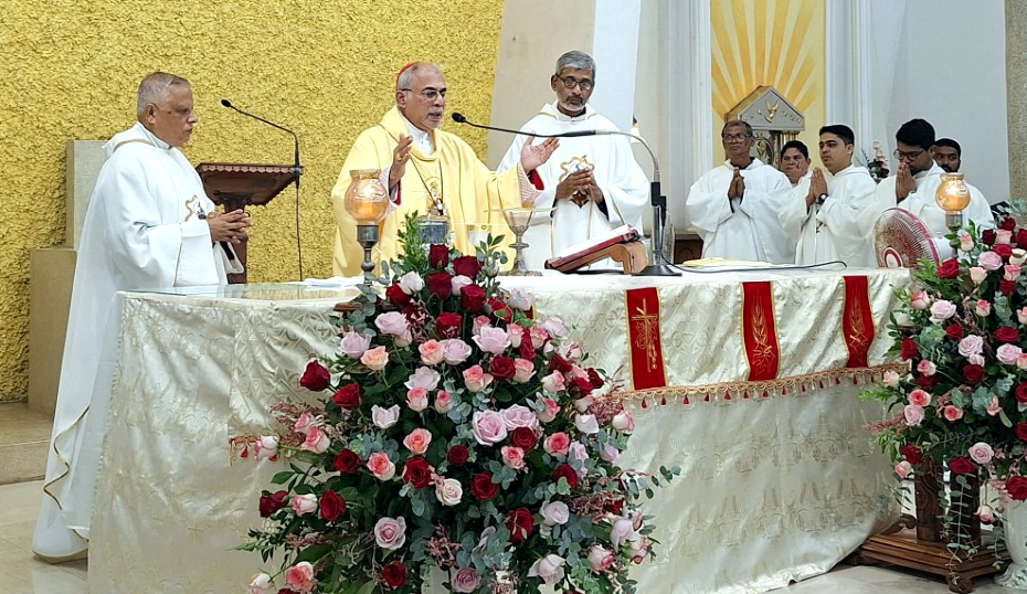 Be instruments of holiness in families, neighbourhoods: Cardinal to faithful