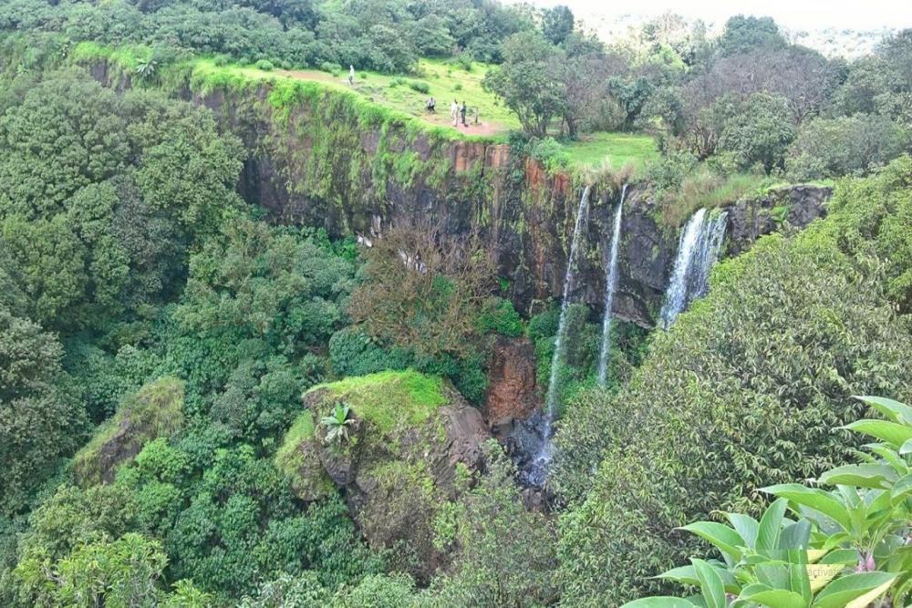 ﻿WRD told to obtain wildlife clearance   for Charavane minor irrigation tank