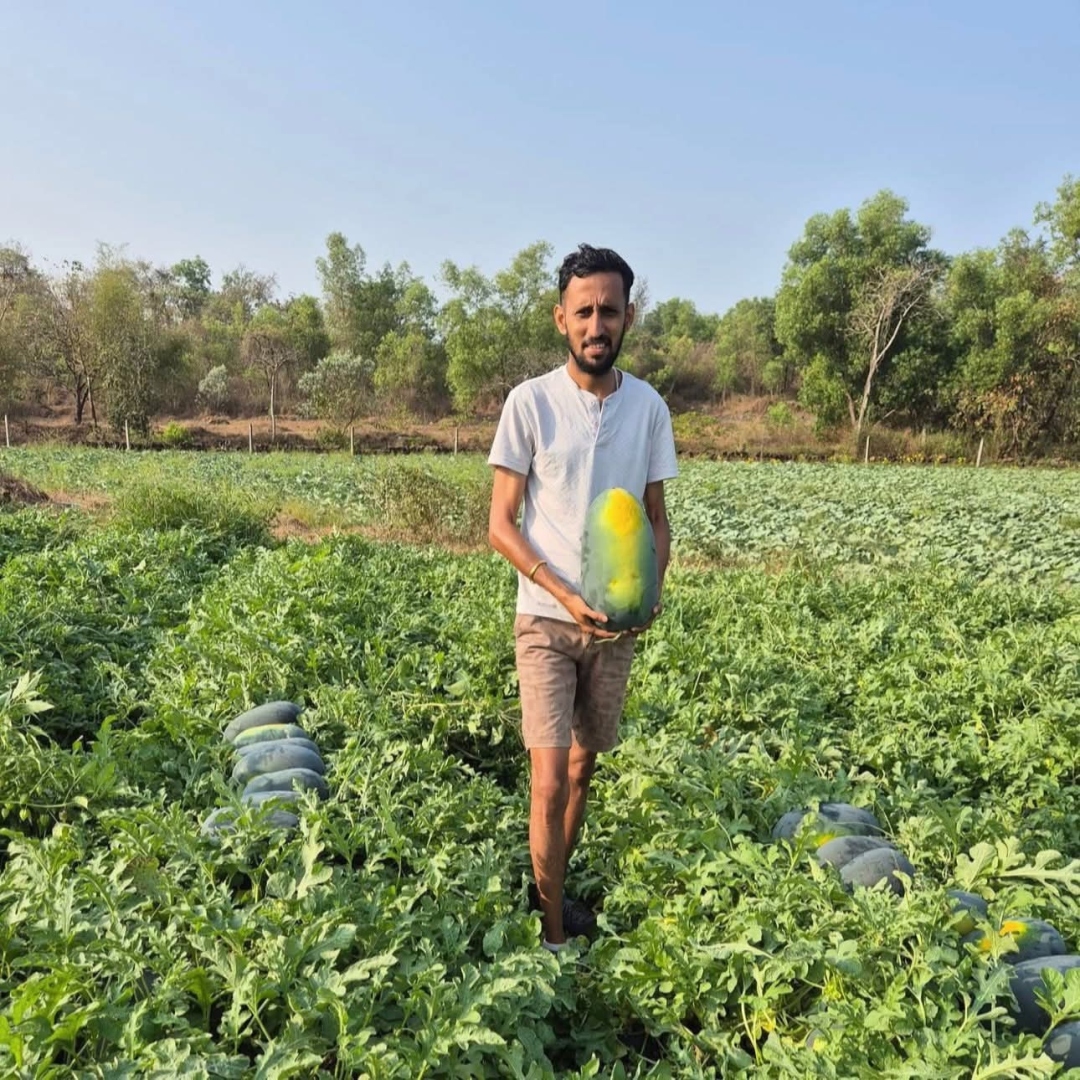 Govt places bets on veggies to up Goa’s agri profile, names ambassador