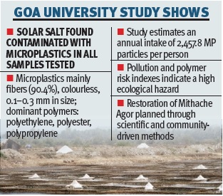 Microplastics in Goa’s salt pans raise health concerns