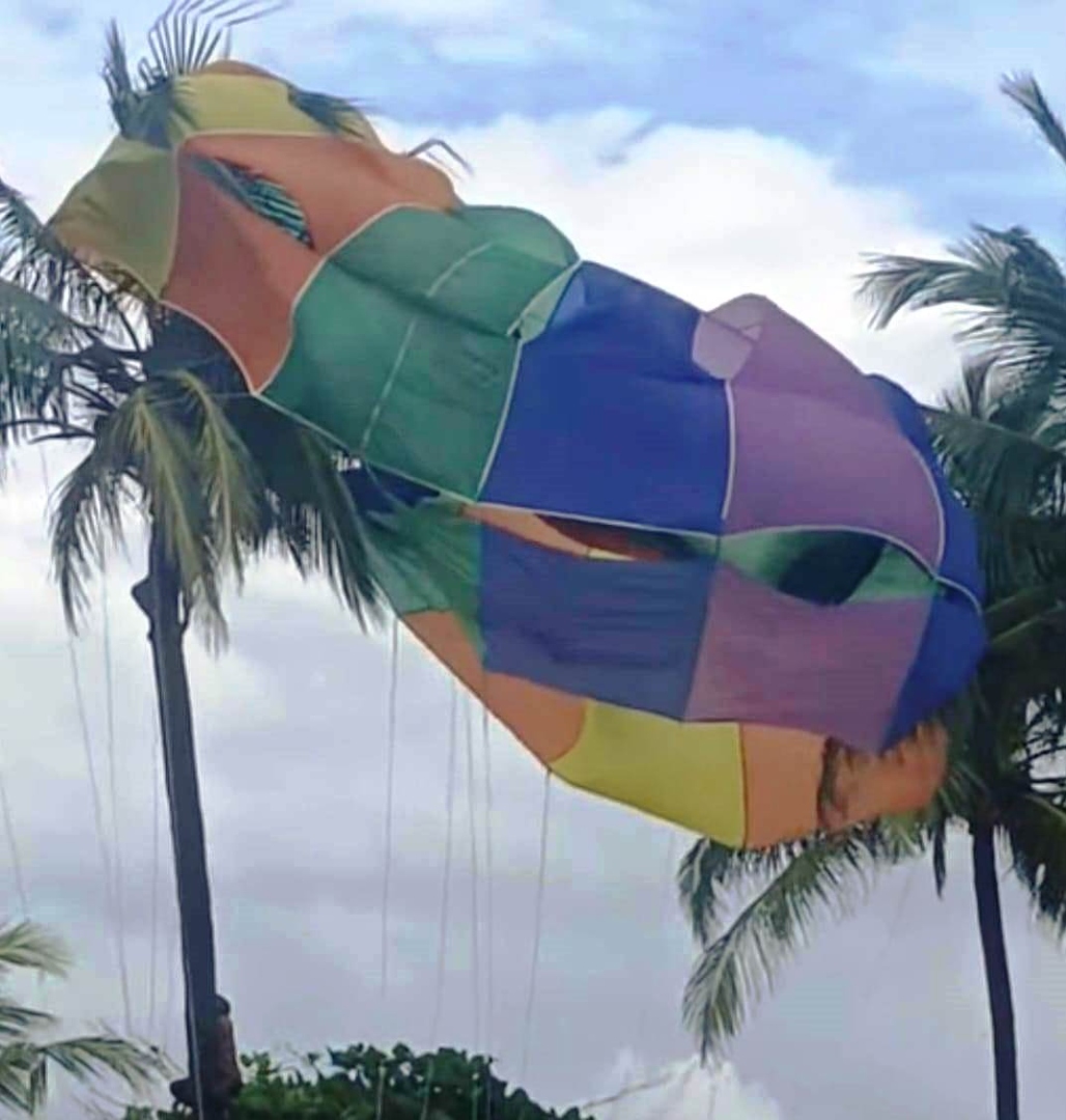 Parasailing parachute gets   stuck to tree during demo