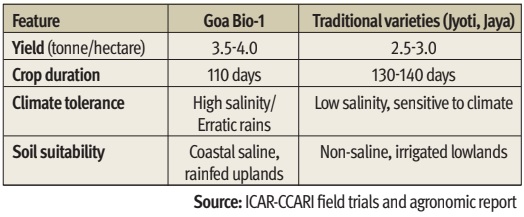 SPOTLIGHT | Climate-resilient paddy offers hope for farmers