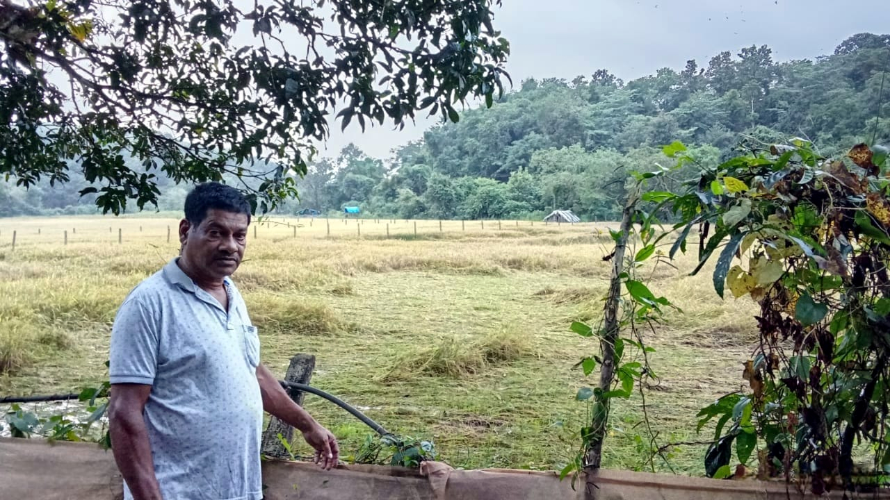 SPOTLIGHT: Canacona ryots decry poor compensation after crop loss