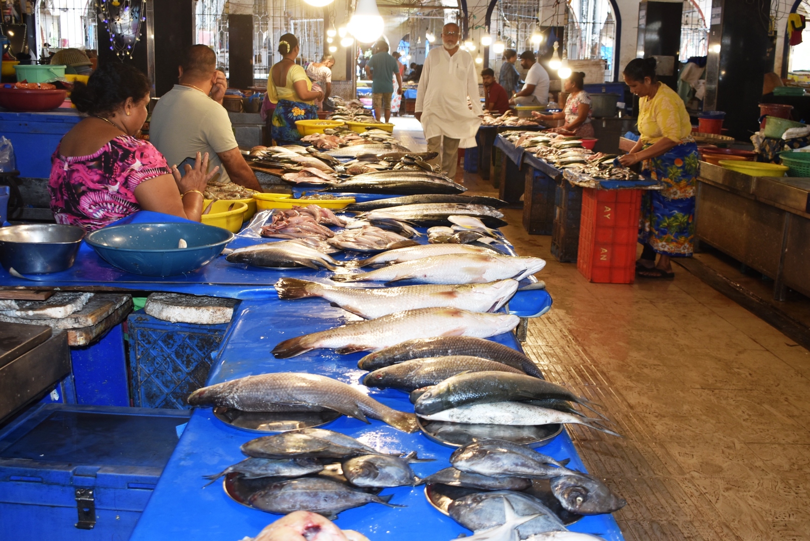 Margao vendors push for govt-fixed rates on key fish varieties
