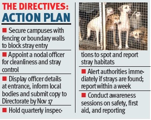 Schools, colleges told to fortify campuses, keep stray dogs out