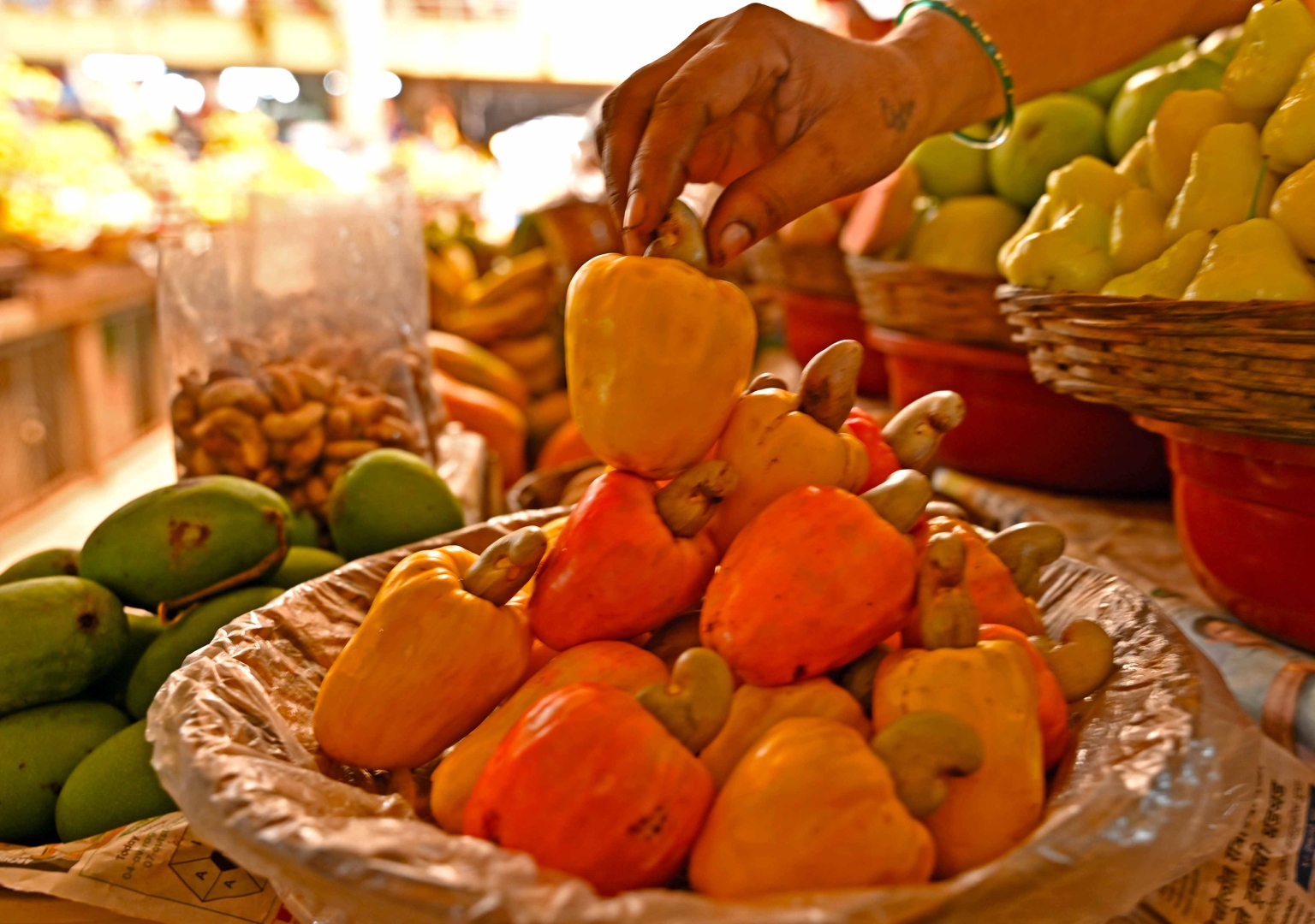 Cracking the shell: How Goa is reviving its iconic cashew legacy