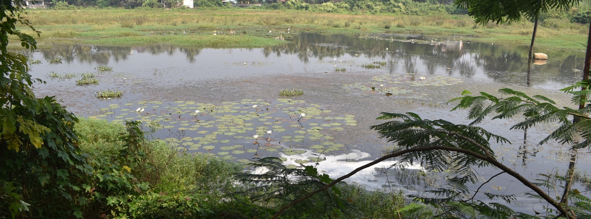 ‘Criminal act’: Sewage overflow angers SGPDA market traders