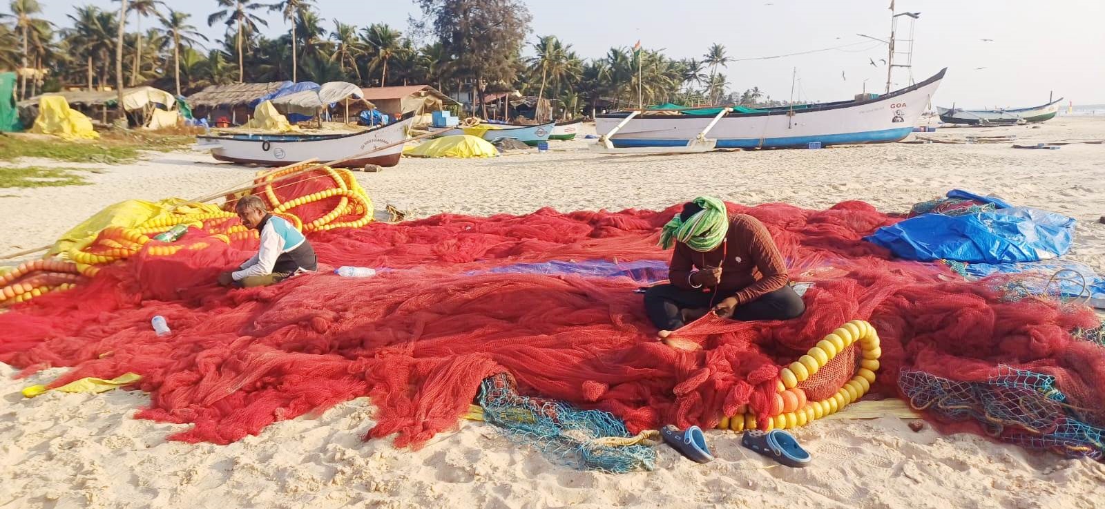 Fish scarce as fishermen face lean spell