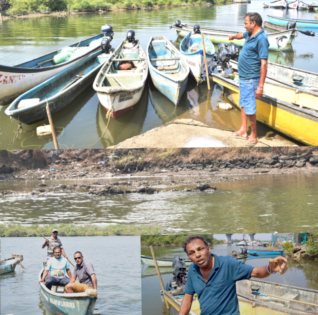 Traditional fishermen find fish catch   from Sal has drastically dwindled