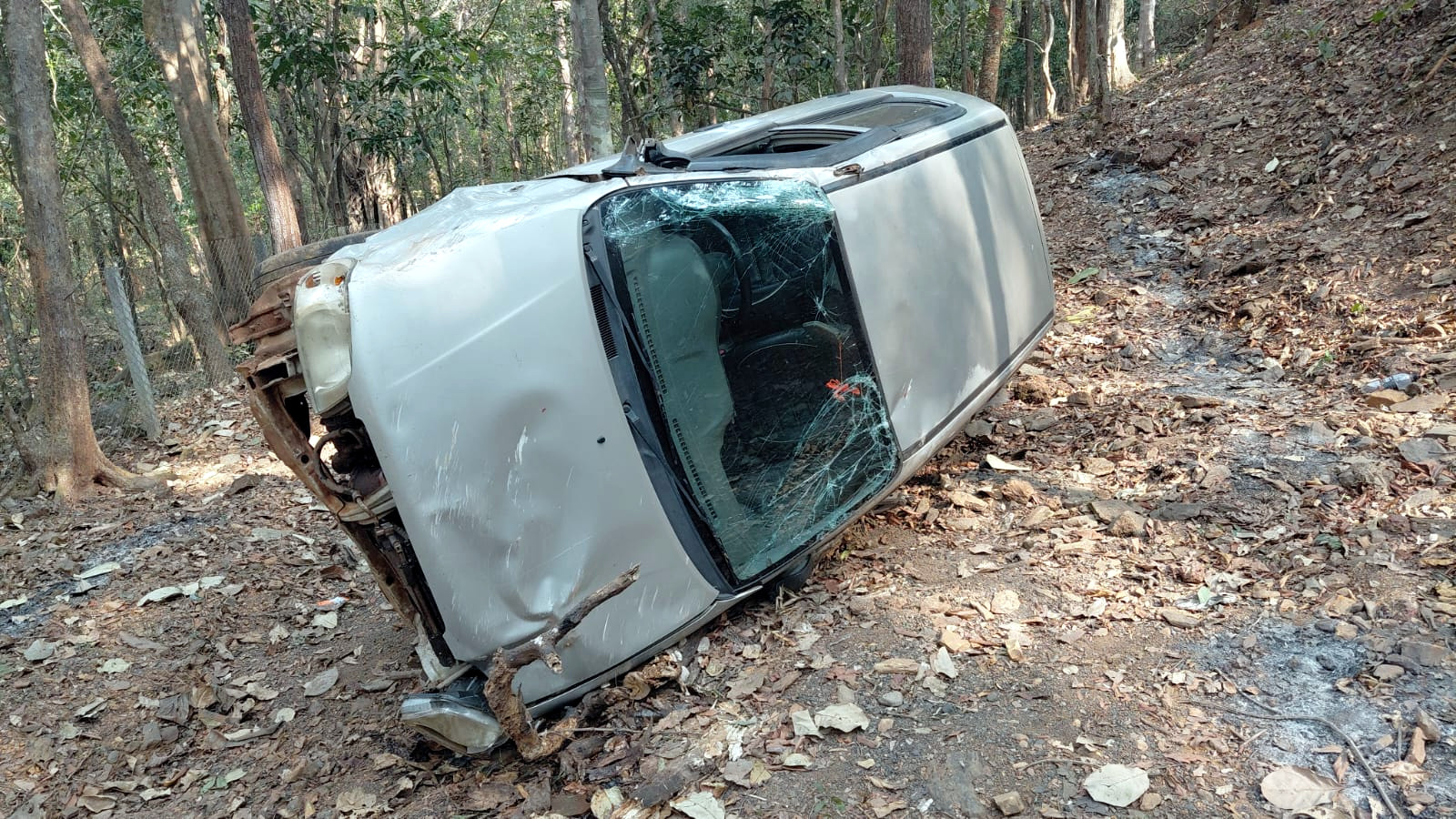 Driver injured in Sattari mishap