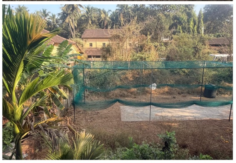 New cricket pitch inaugurated at Colvale to nurture talent