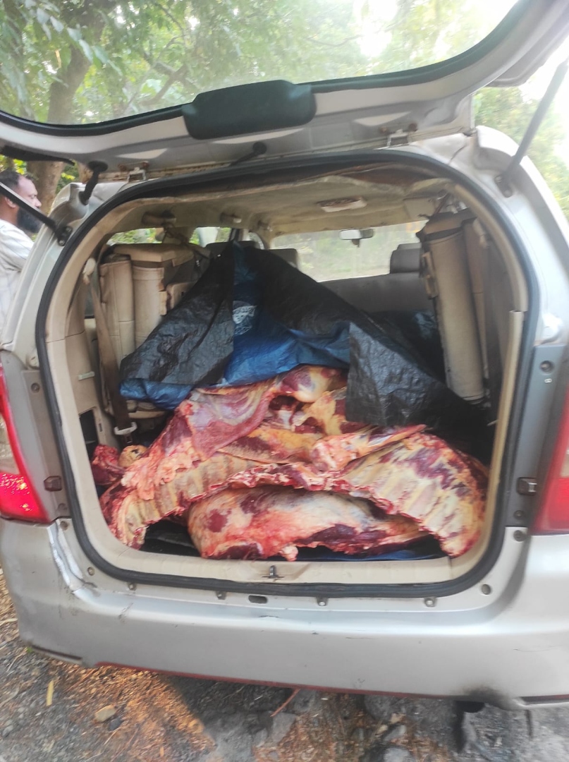 Illegal beef transportation   busted at Chorla Ghat