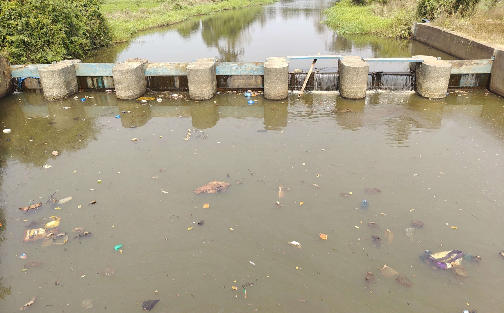 ‘Cosmetic fixes' not enough to fix River Sal, warn Nuvemkars