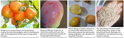 What do 5 new GI tags mean for Goa’s agro universe