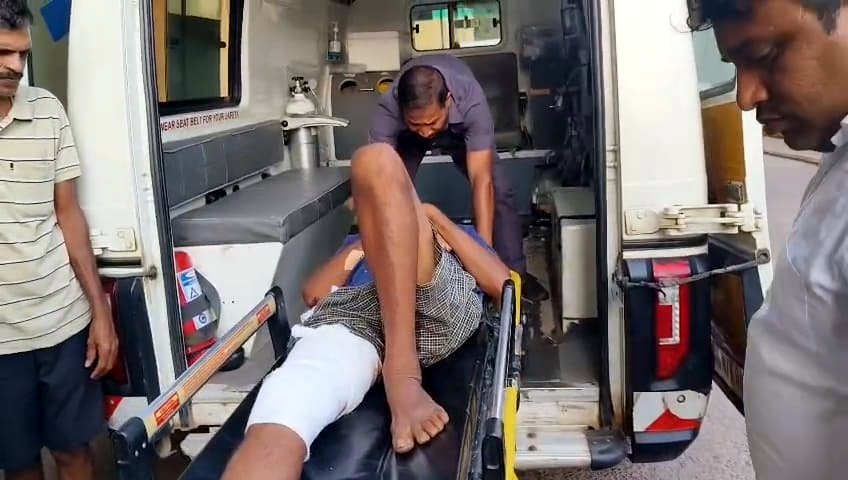 Man injured in bison attack at Mandrem