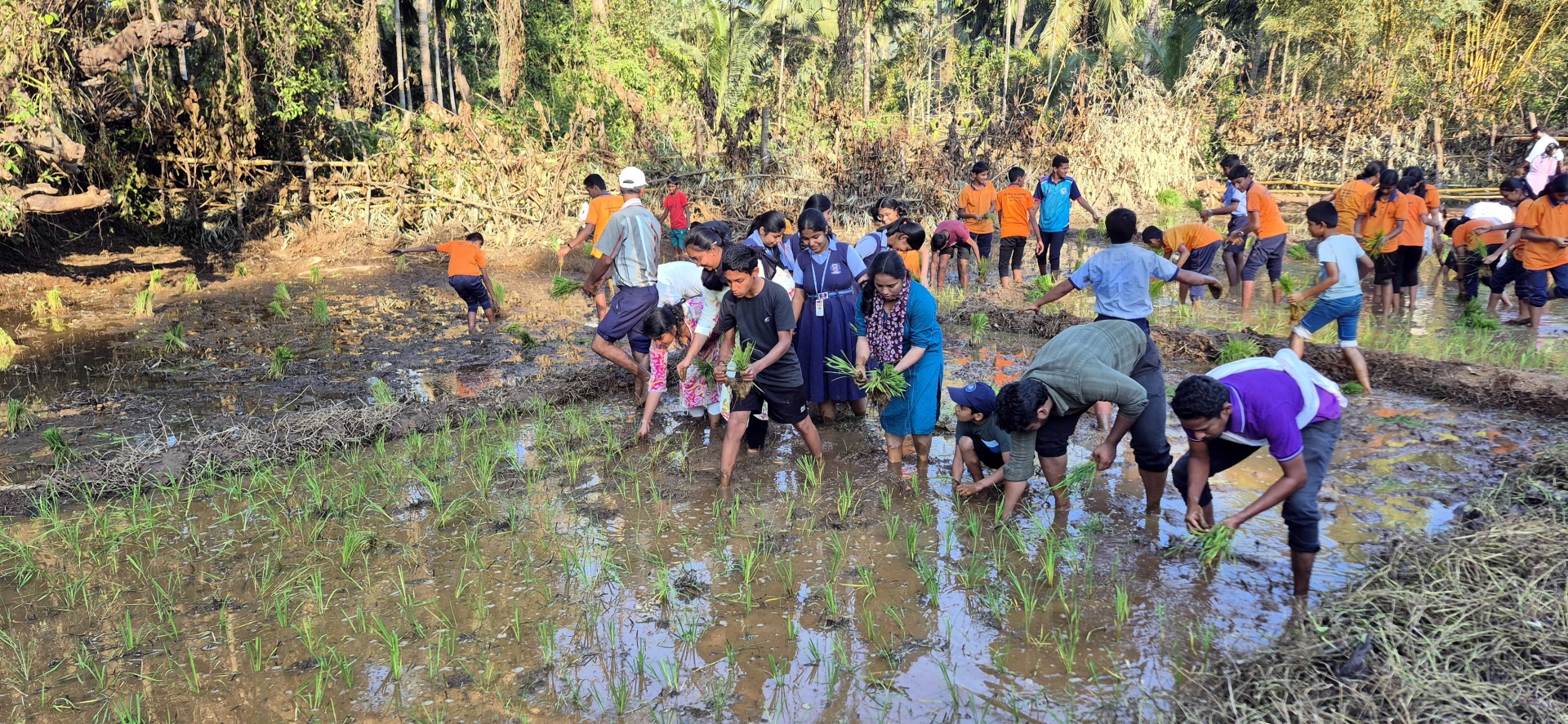 ‘Puran Sheti’ revived in Keri-Sattari after 46 years