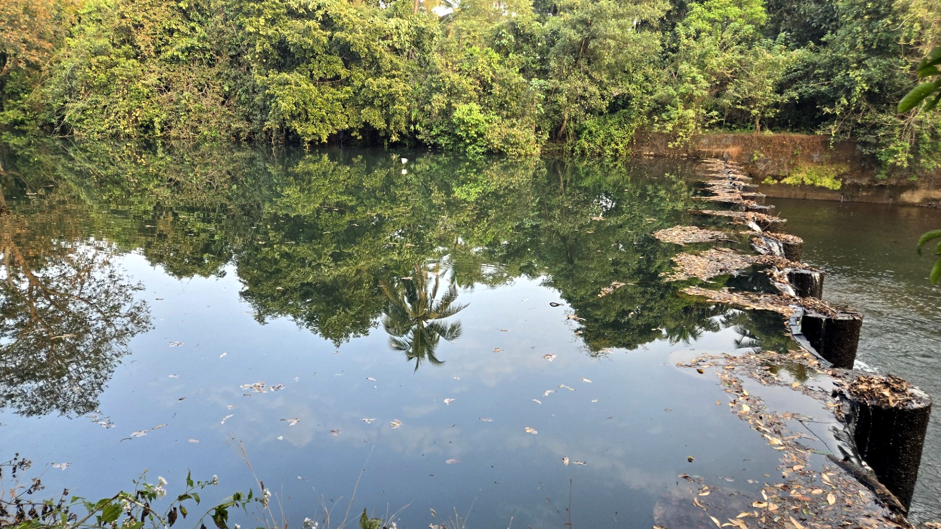 Iron gates rusted at 30 check dams in Sattari