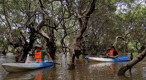 GTDC to institutionalise   annual travel agents meet