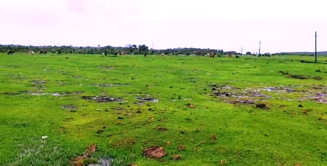 Quitol set to fly; aero sports, aviation hub gets approval