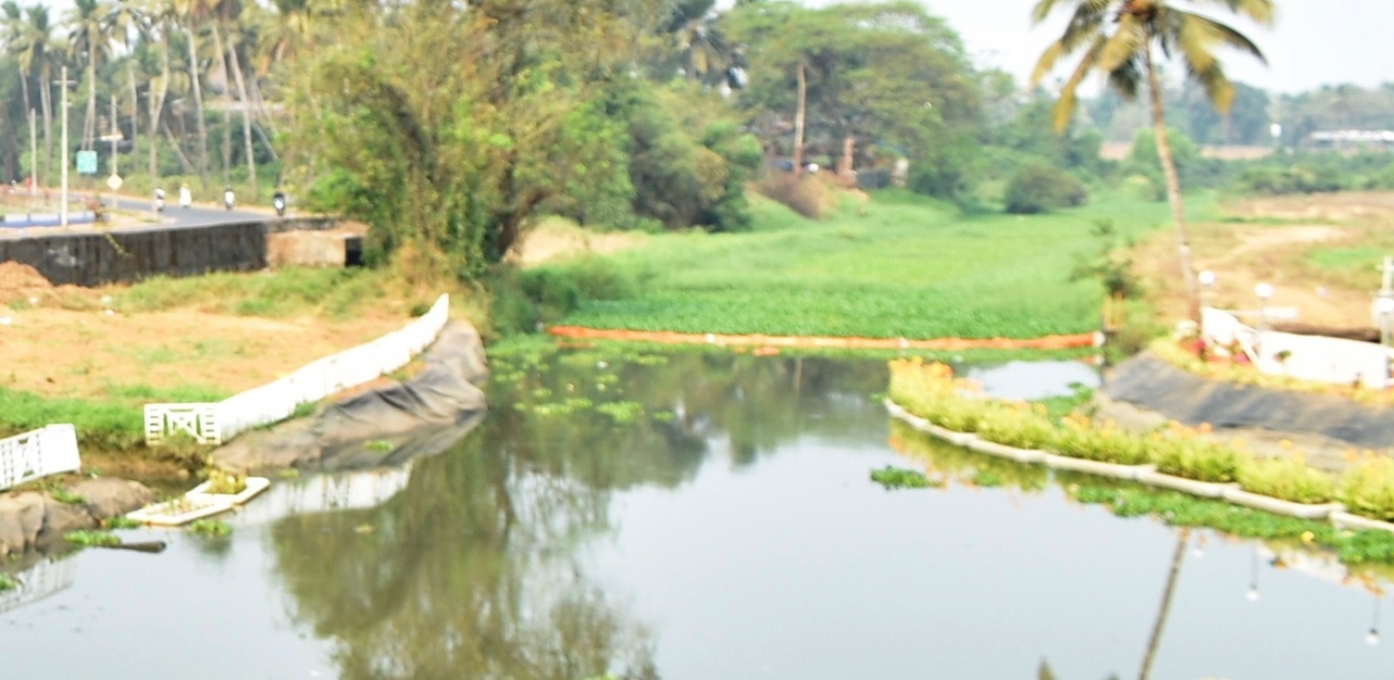 Sal’s makeover masks deeper environmental concerns