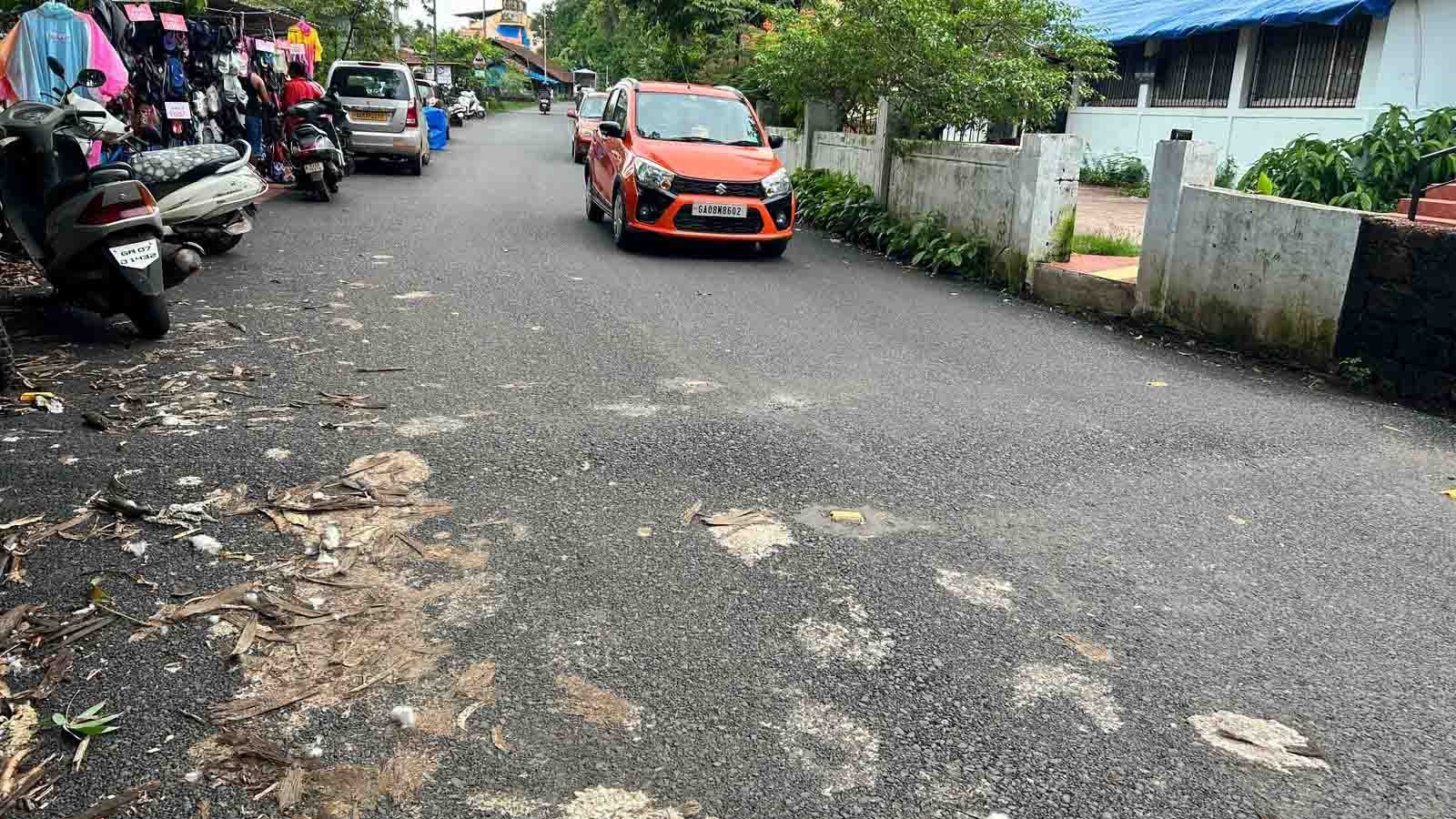 Bumpy ride: Calls grow to review speed breakers across Goa
