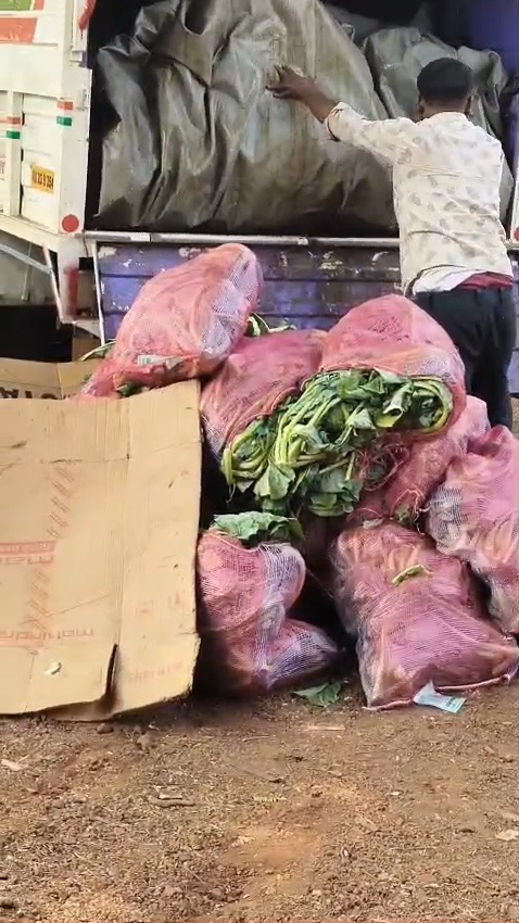 750 kg of beef seized from pickup vehicle in Sattari