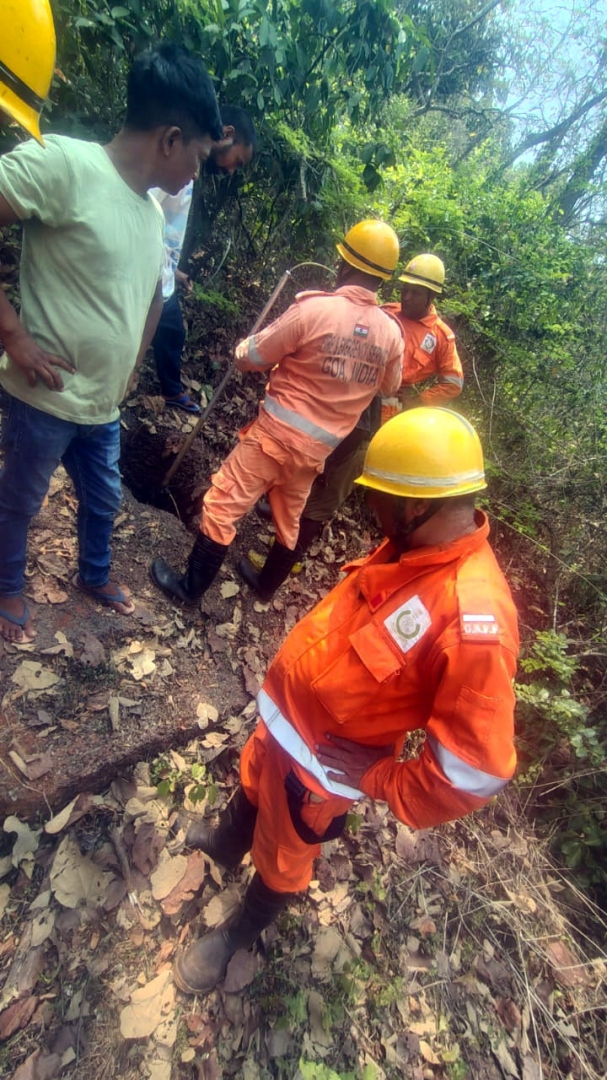 Dog rescued from cave in Chicalim