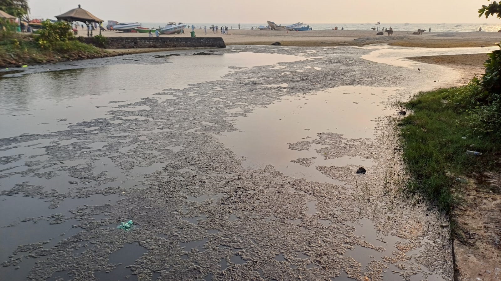 Black water in Colva creek sparks pollution concerns