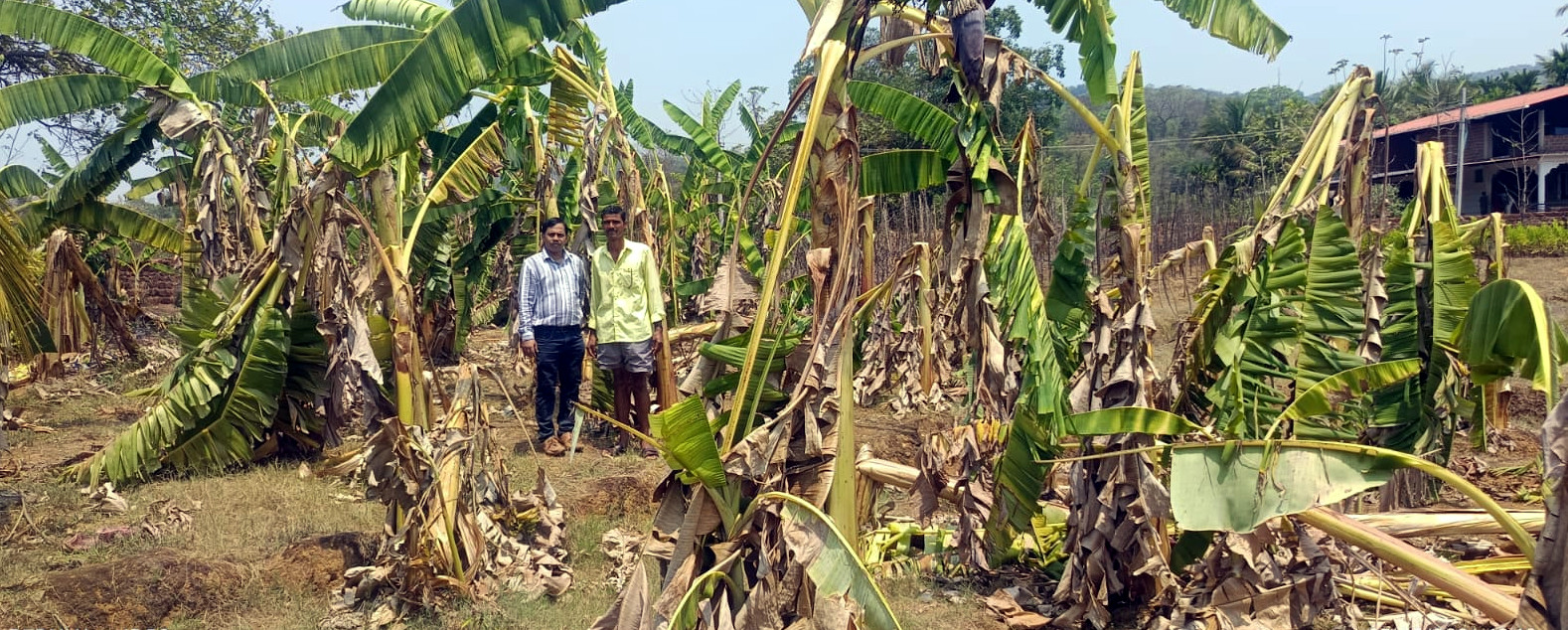 Mamlatdar, ZAO survey cyclone damage in Sattari