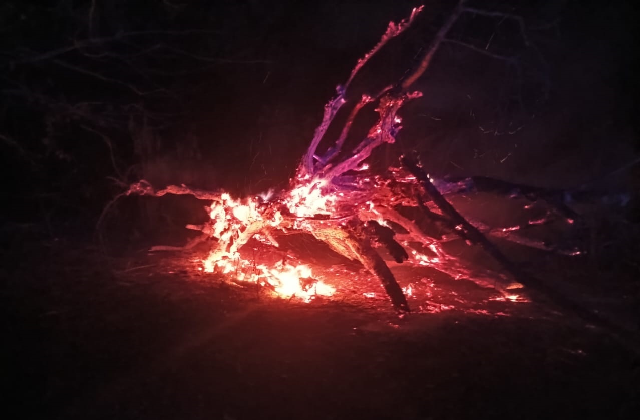 Swift fire brigade action controls fire in Valpoi