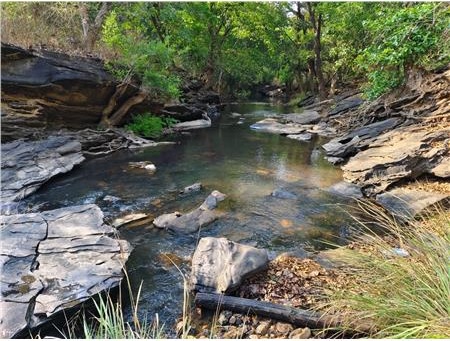 Mhadei basin concern as Bandhura water levels dip