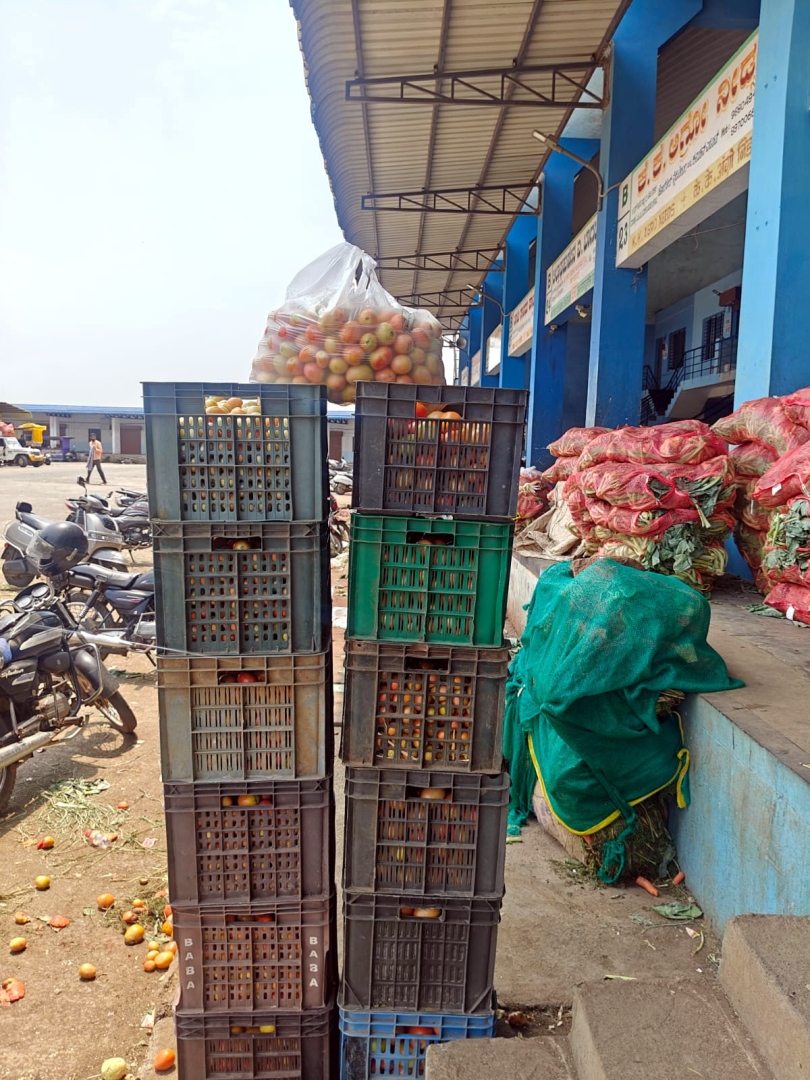 Vegetable prices crash as excess supply hits Goa–Belagavi mkts