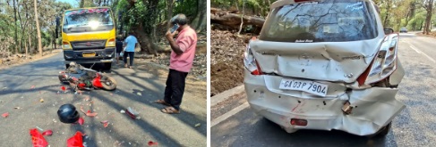 Bid to save snake crossing the road causes 3-vehicle mishap