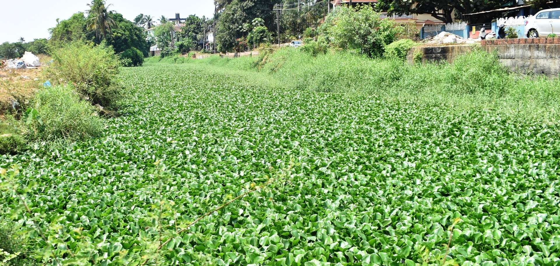 River Sal’s ‘critical’ pollution tag only reinforces long-ignored ground reality