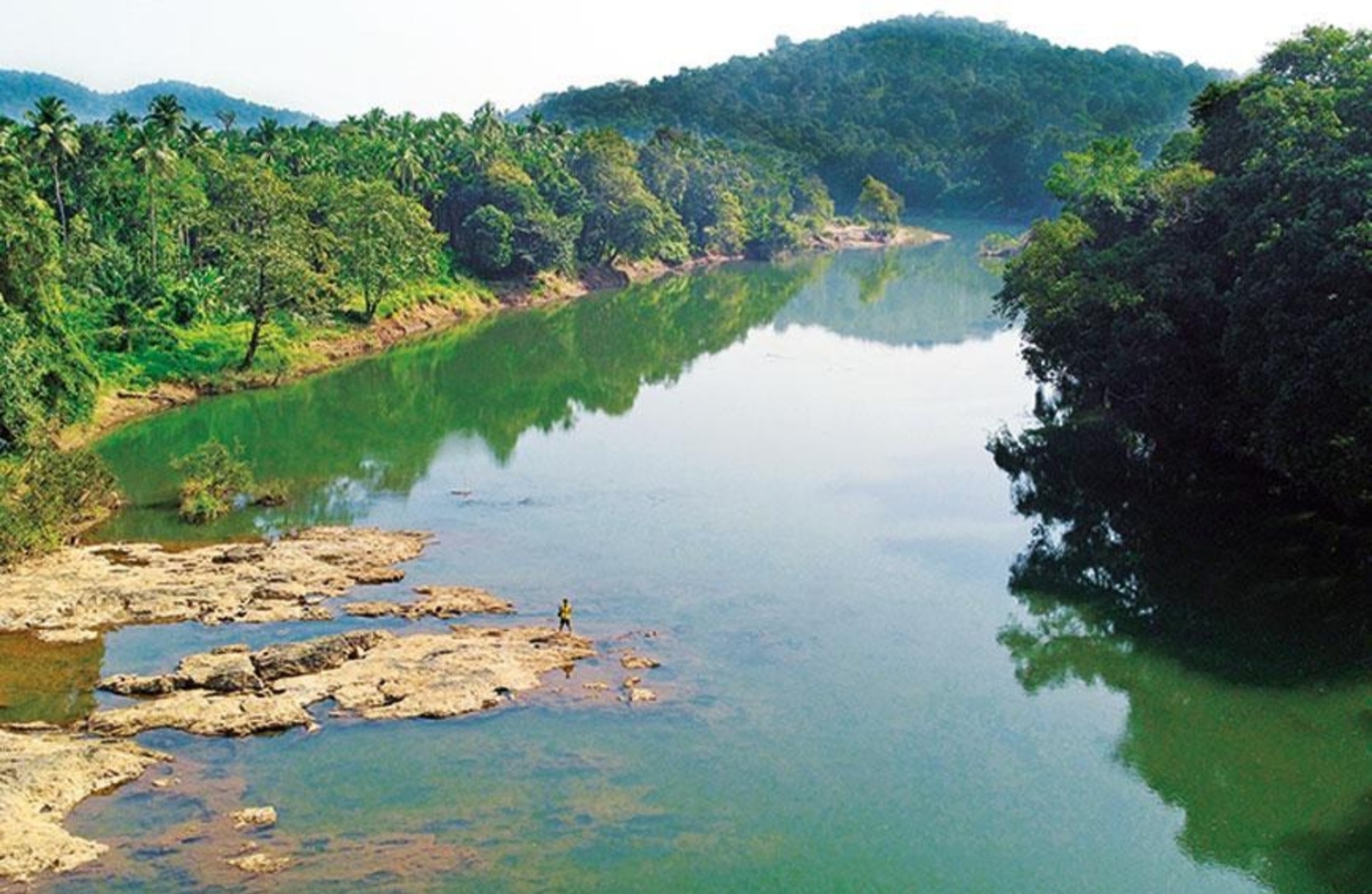 Crocodile sightings raise alarm along Mhadei river in Sattari