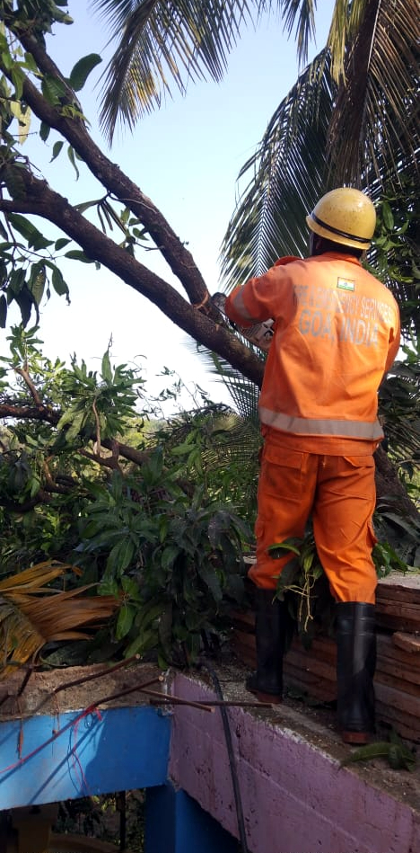 Trees crash onto houses in Valpoi and Savarde
