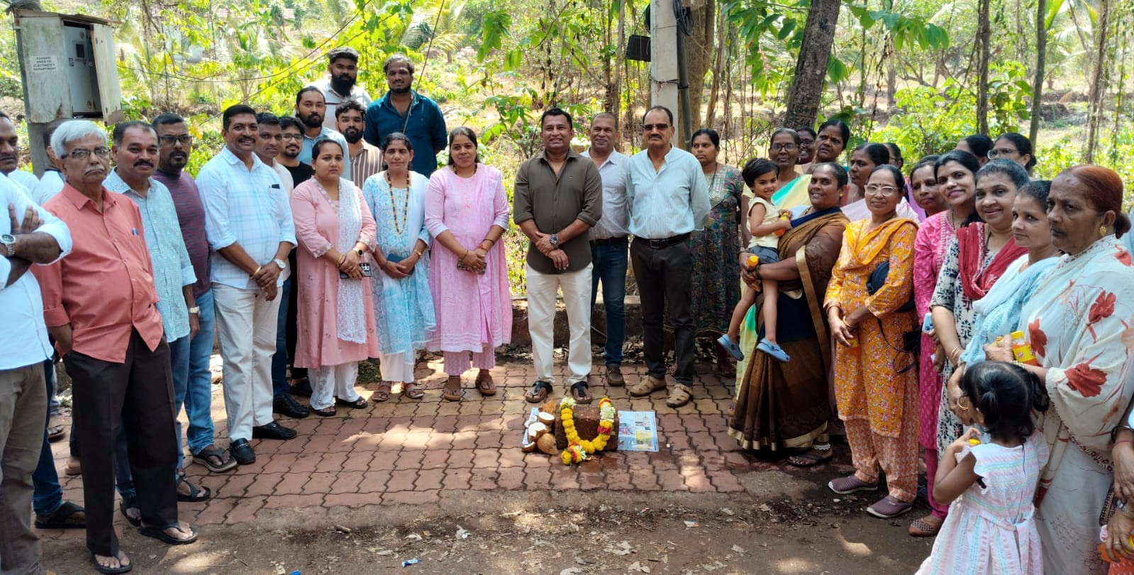 Pilerne power substation to be commissioned by May: MLA