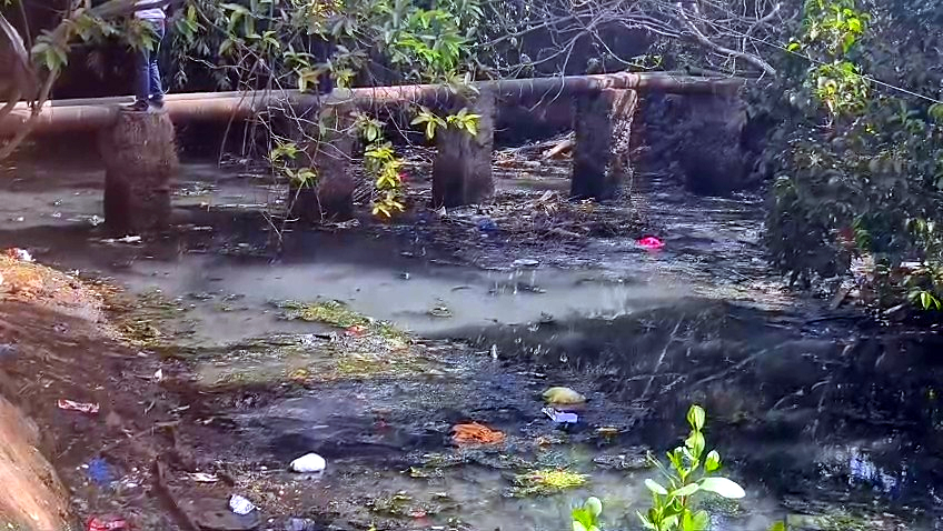 Residents raise alarm as Vasco creek turns health hazard