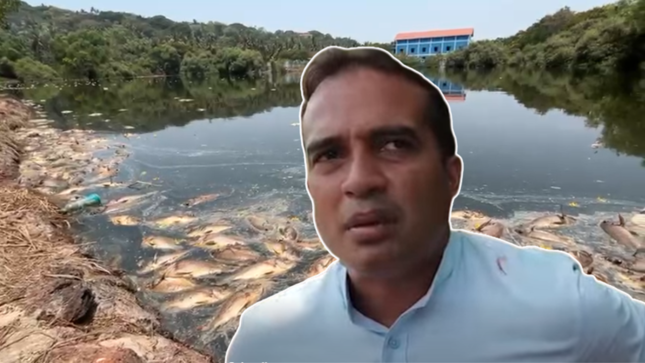 Panaji Mayor flags citywide sewage problem after Mala Lake fish deaths