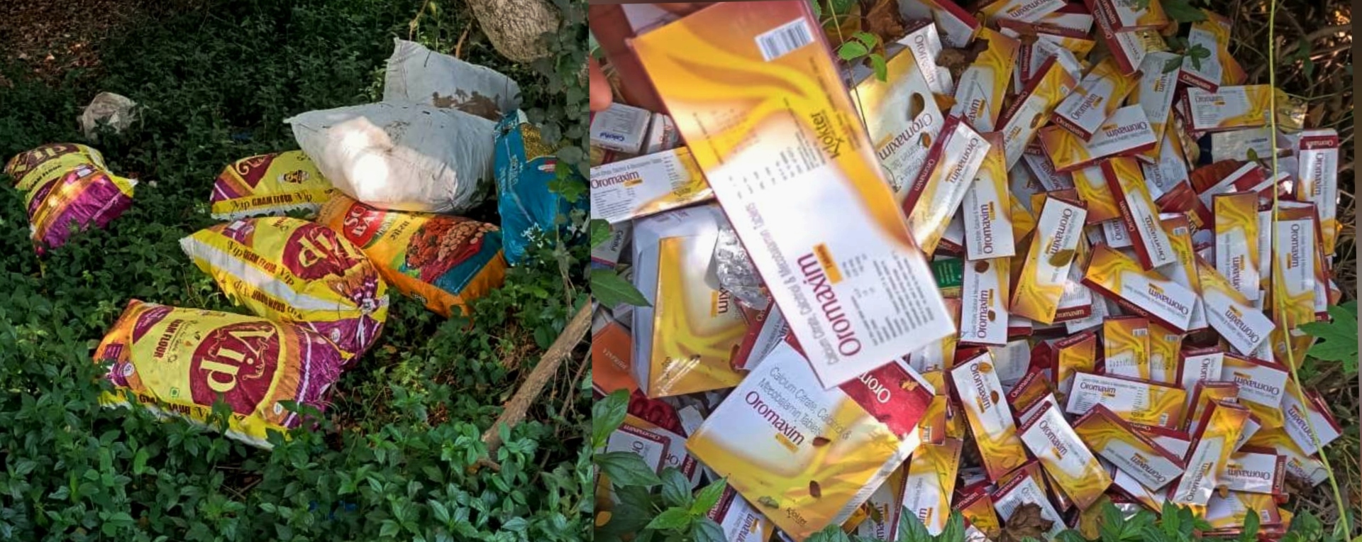 Rs 6.5 cr spent, but Comba stretch still chokes on garbage, medical waste