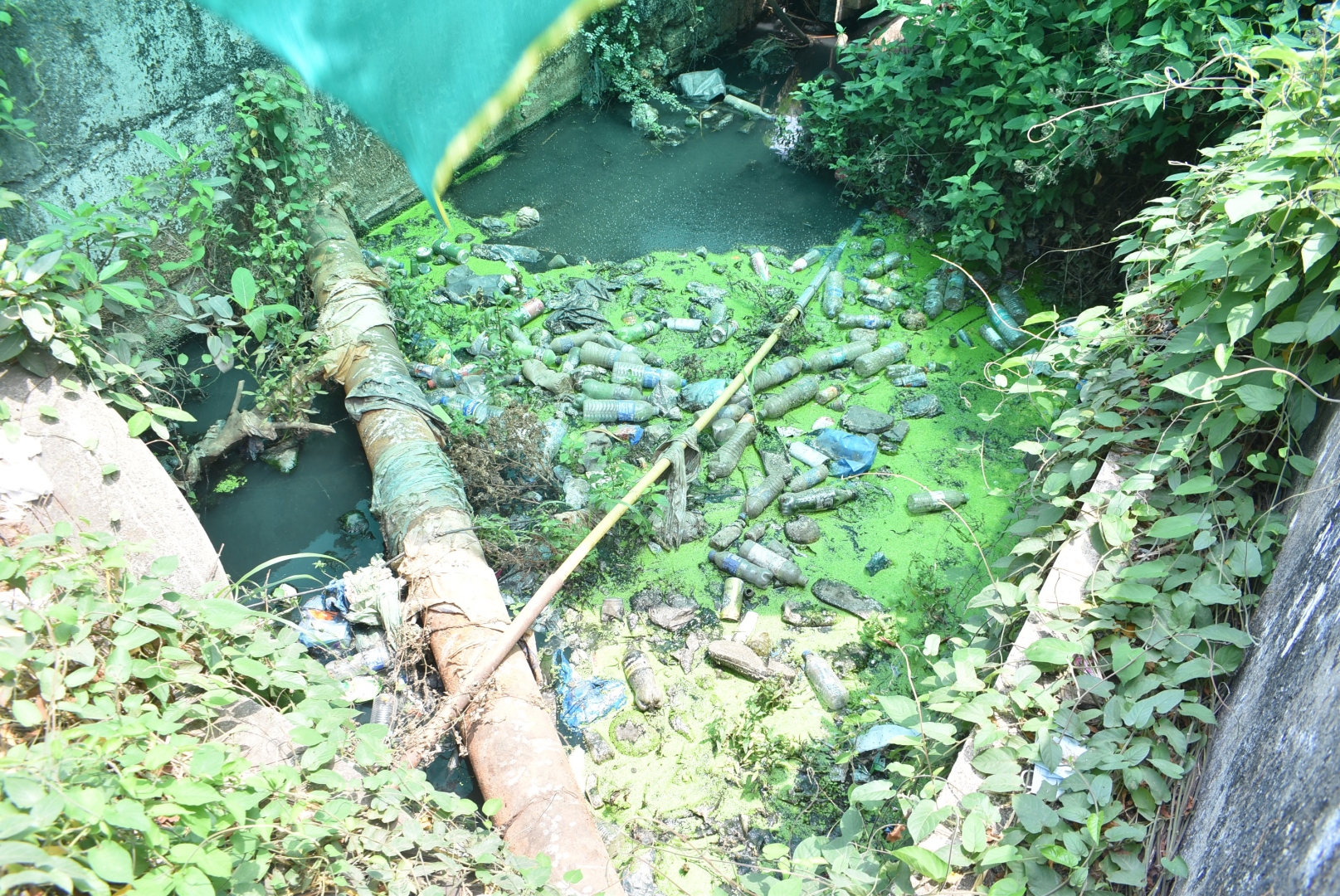 In peak summer, Margao nullahs still flow with sewage