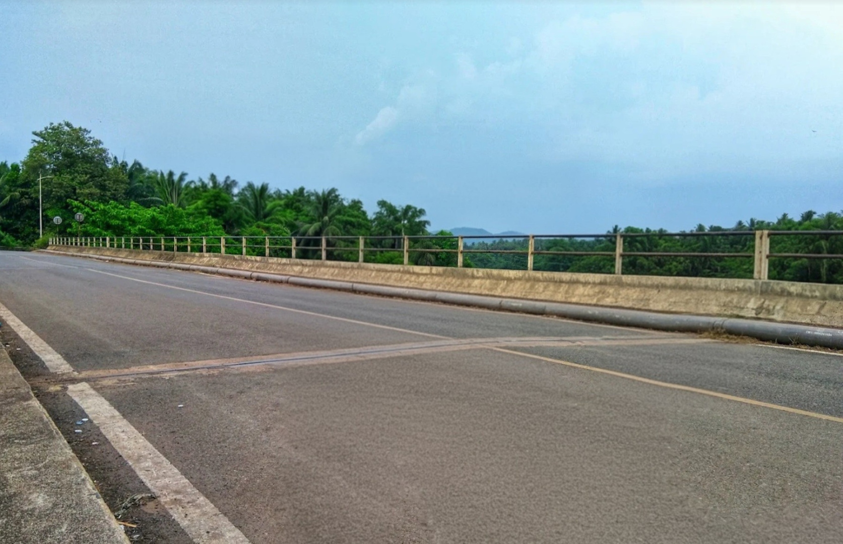 Iron netting proposed for Padeli–Guleli bridge