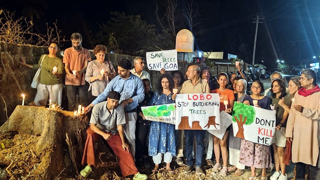 Siolim locals protest late-night felling of heritage trees
