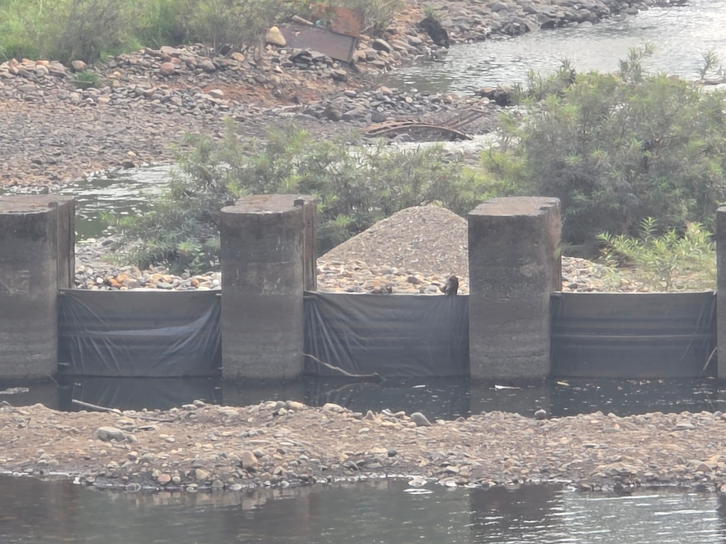 Sand mining gangs remove   check dam plates in Sattari
