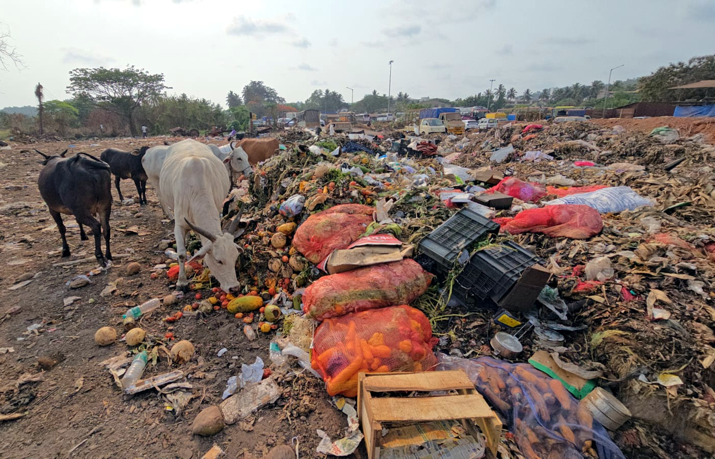 Civic complaint triggers GSPCB inspection at Mapusa sub-yard