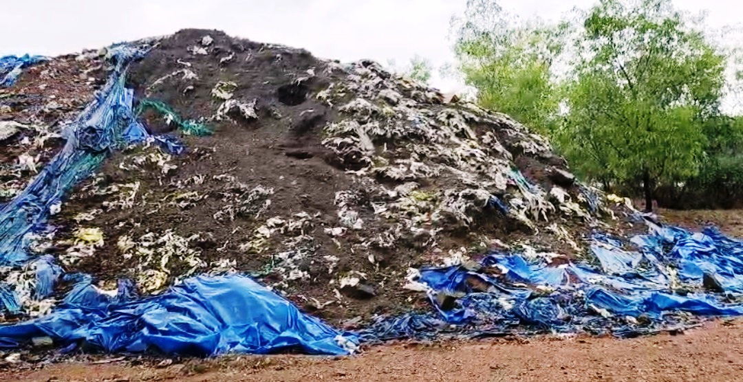 Cuncolim hazardous zinc waste removal process begins today